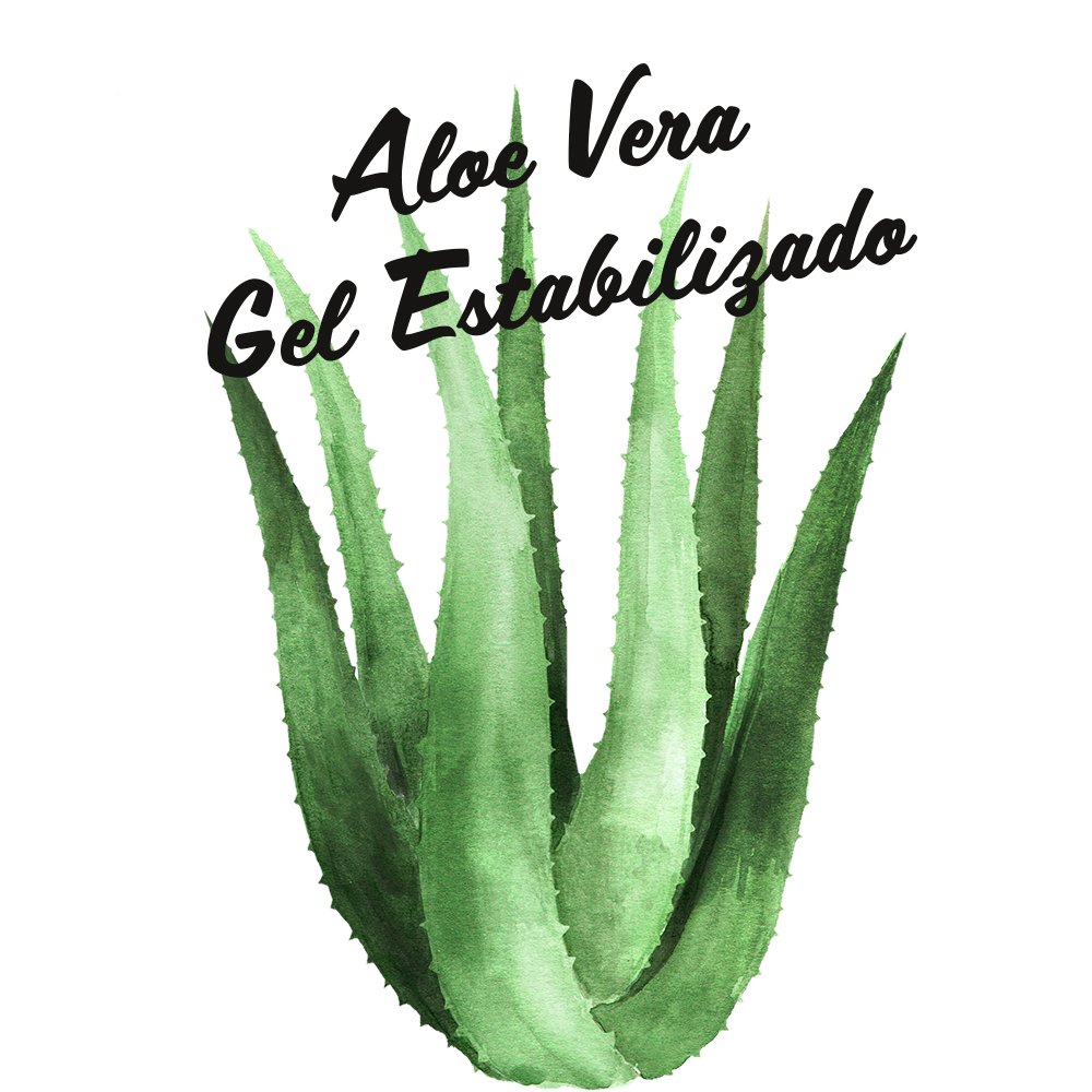 Aloe Ever Shield Deodorant