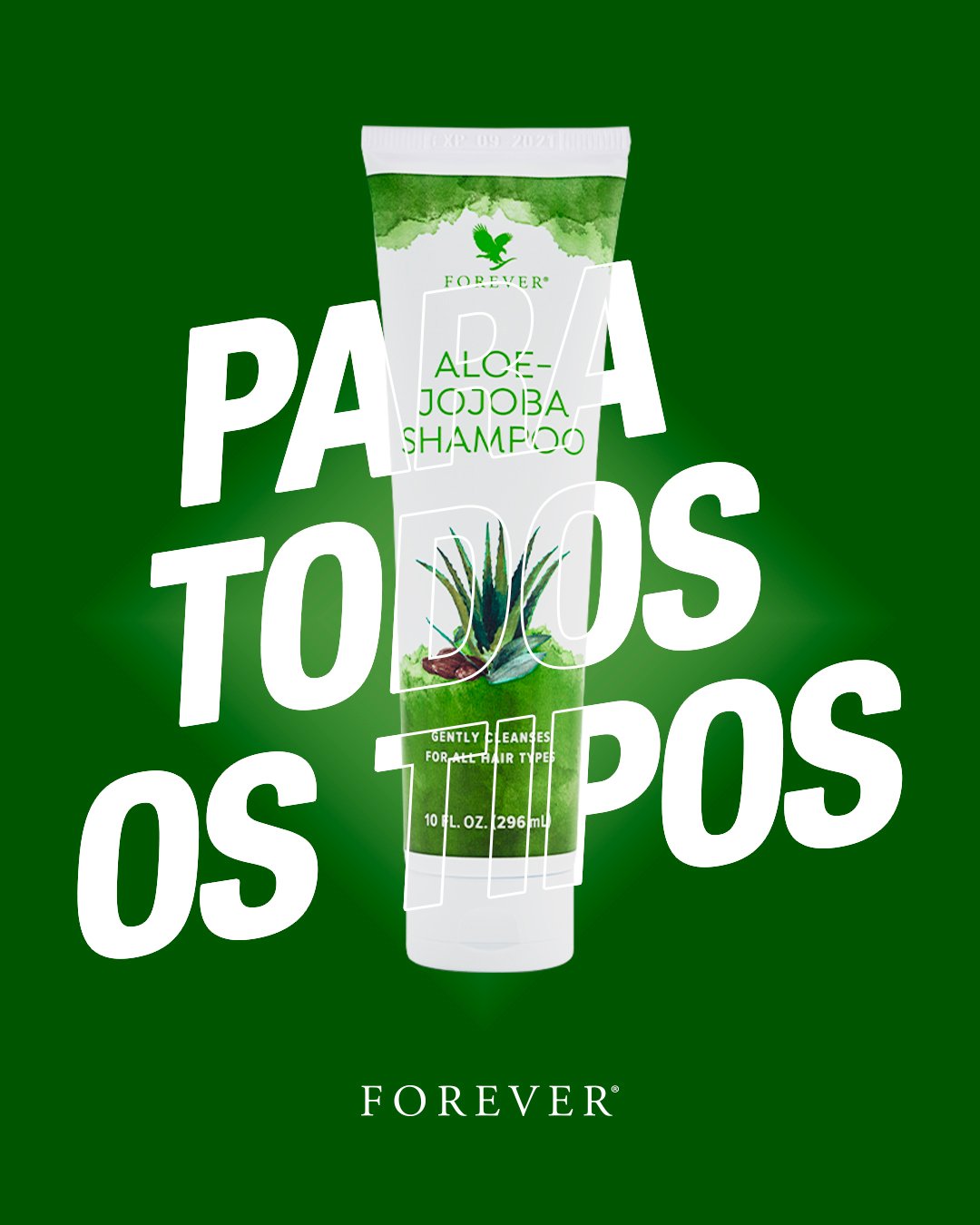 Aloe-Jojoba Shampoo