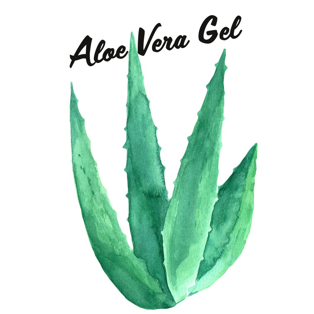 Aloe Jojoba Conditioner