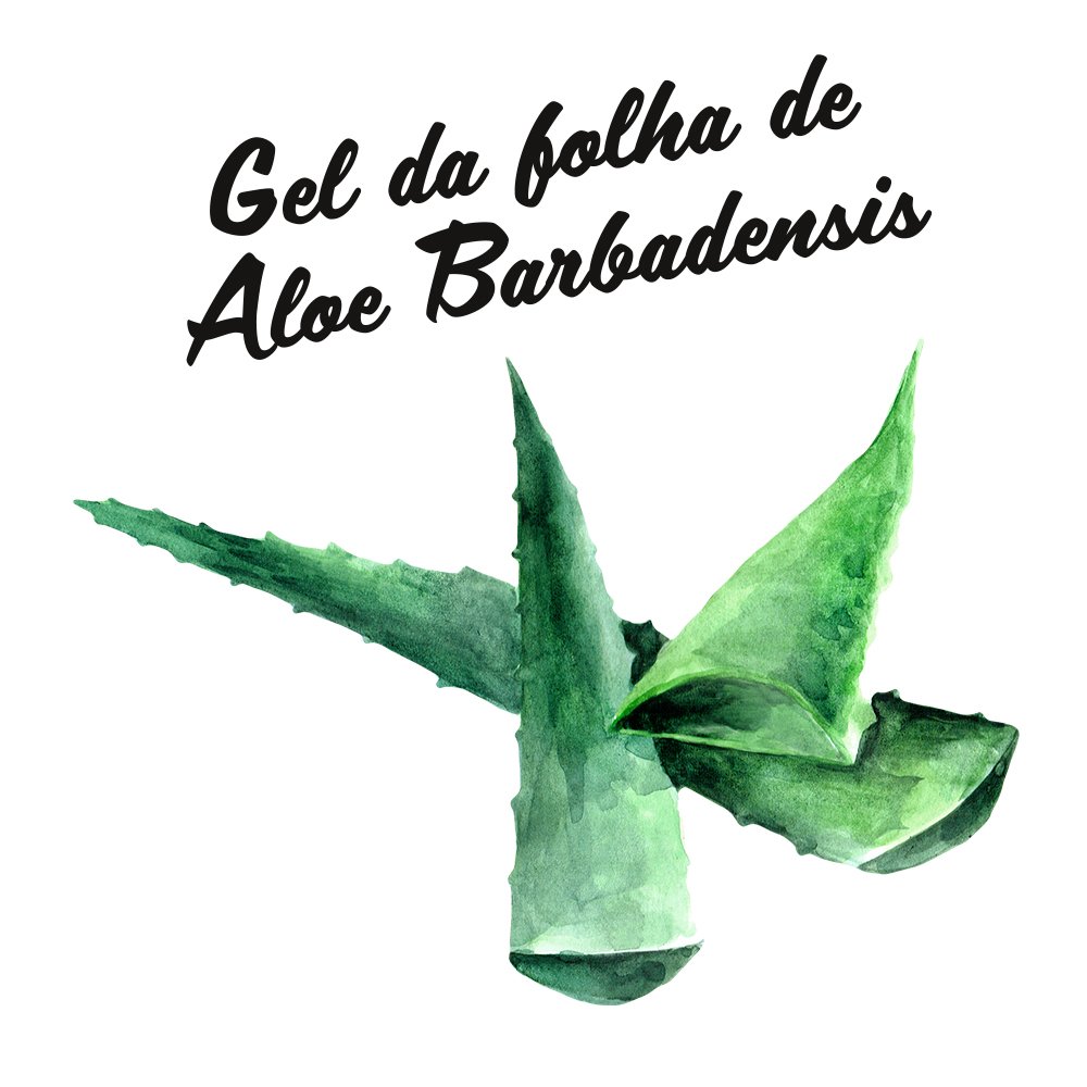 Aloe Scrub